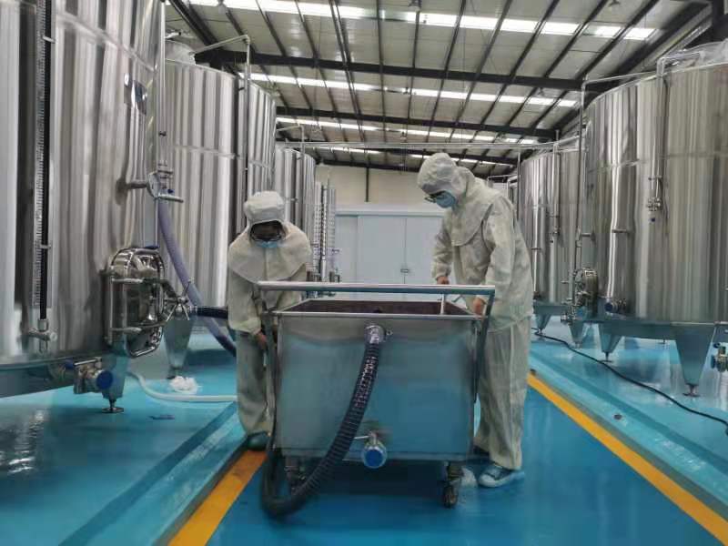 黑枸杞致富“金果子”——柴达木日报社记者采访